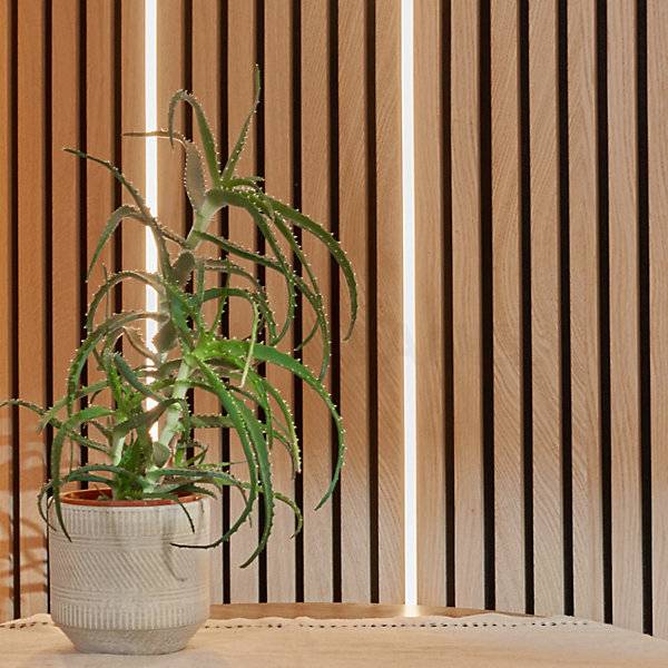 A green aloe vera plant in a textured off-white ceramic pot, set against a background of vertical light wood slats.