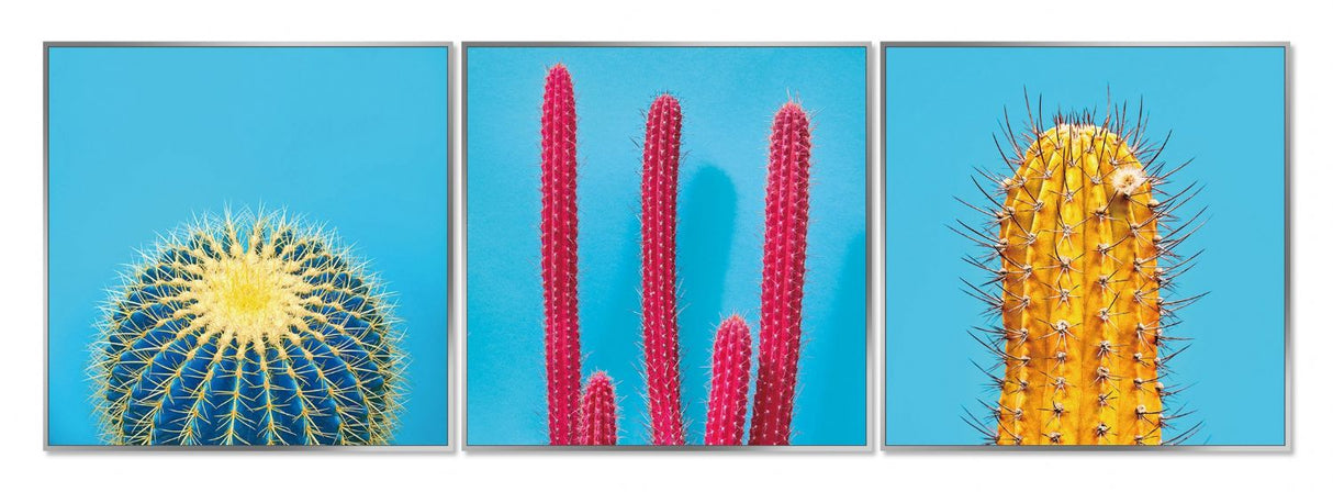 Framed Acrylic Pictures – Cactus (Set of 3)