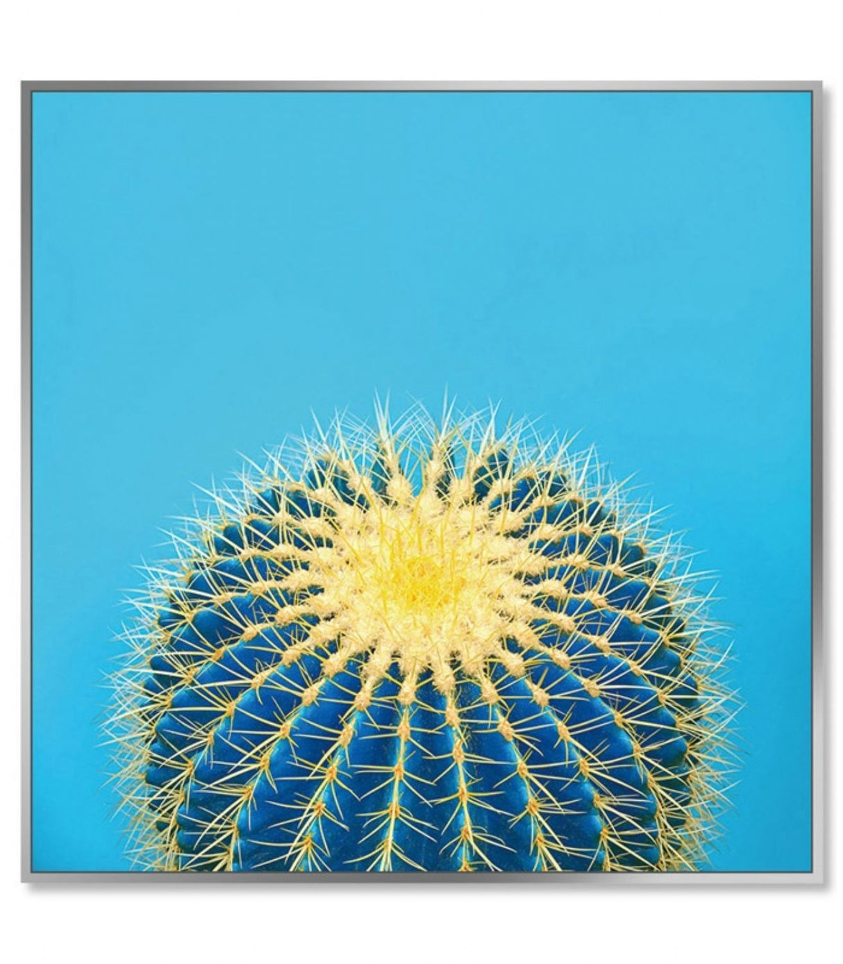 Framed Acrylic Pictures – Cactus (Set of 3)