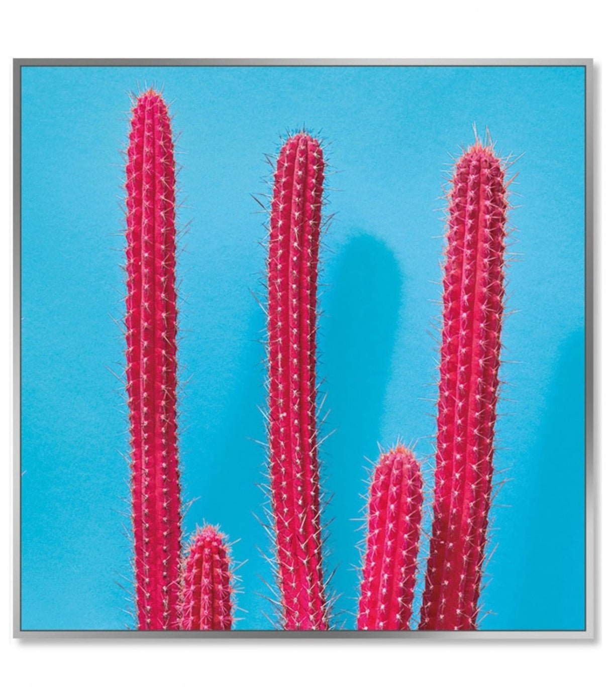 Framed Acrylic Pictures – Cactus (Set of 3)