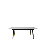 Modern Grey Ceramic Coffee Table with Black Legs and Gold Accents