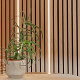 A green aloe vera plant in a textured off-white ceramic pot, set against a background of vertical light wood slats.