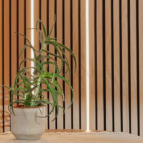 A green aloe vera plant in a textured off-white ceramic pot, set against a background of vertical light wood slats.