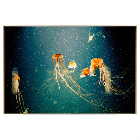 Jellyfish Glass Wall Art Picture