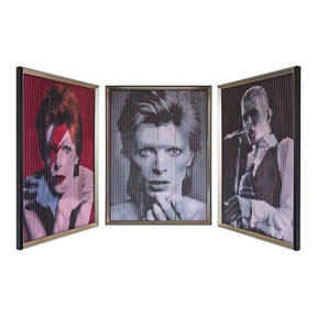 Ziggy Stardust Small Kinetic Wall Art