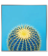 Framed Acrylic Pictures – Cactus (Set of 3)