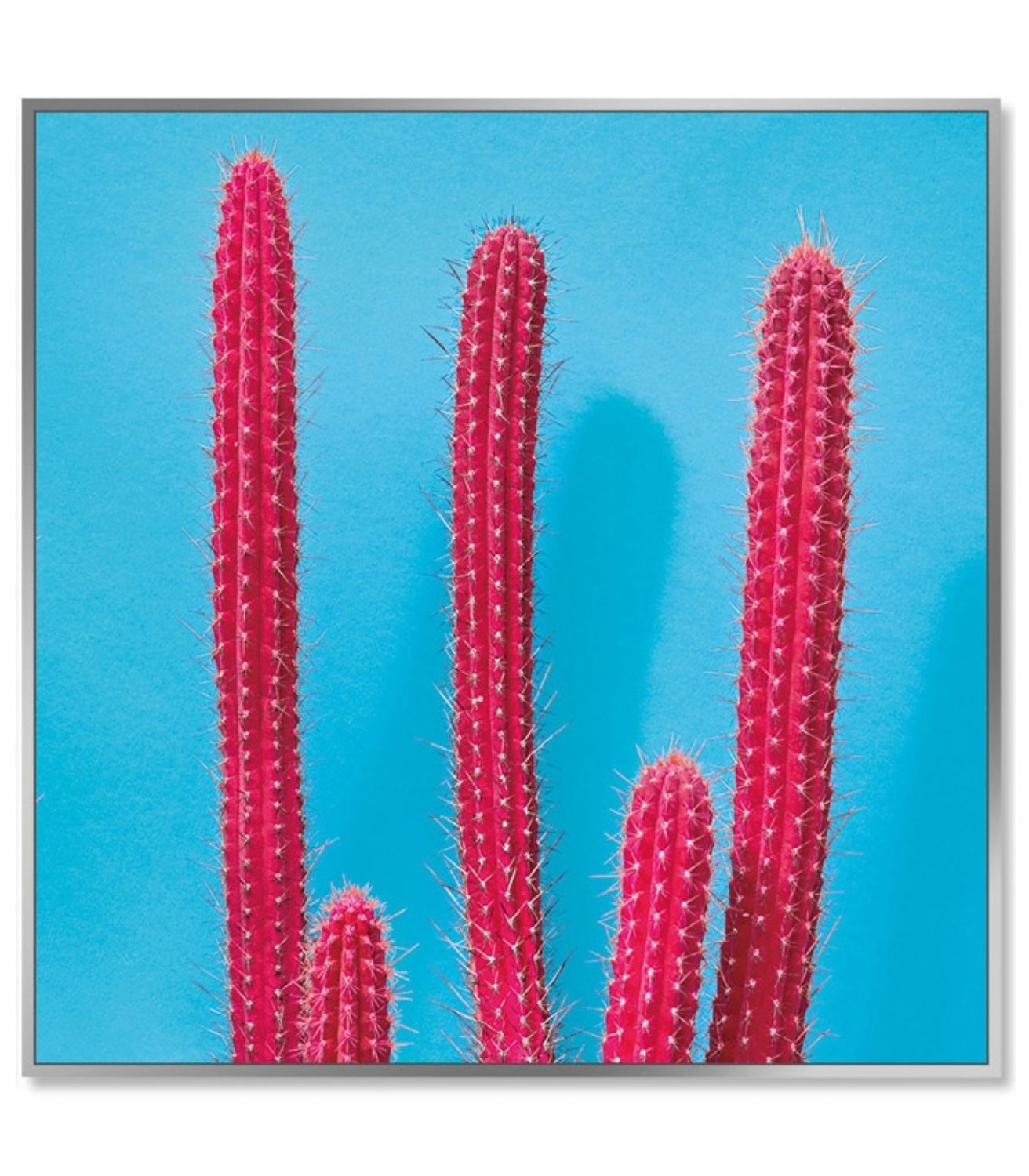 Framed Acrylic Pictures – Cactus (Set of 3)