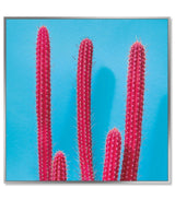 Framed Acrylic Pictures – Cactus (Set of 3)