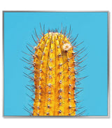 Framed Acrylic Pictures – Cactus (Set of 3)